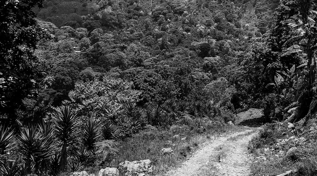 Josias Oltehua - Finca Oltehua