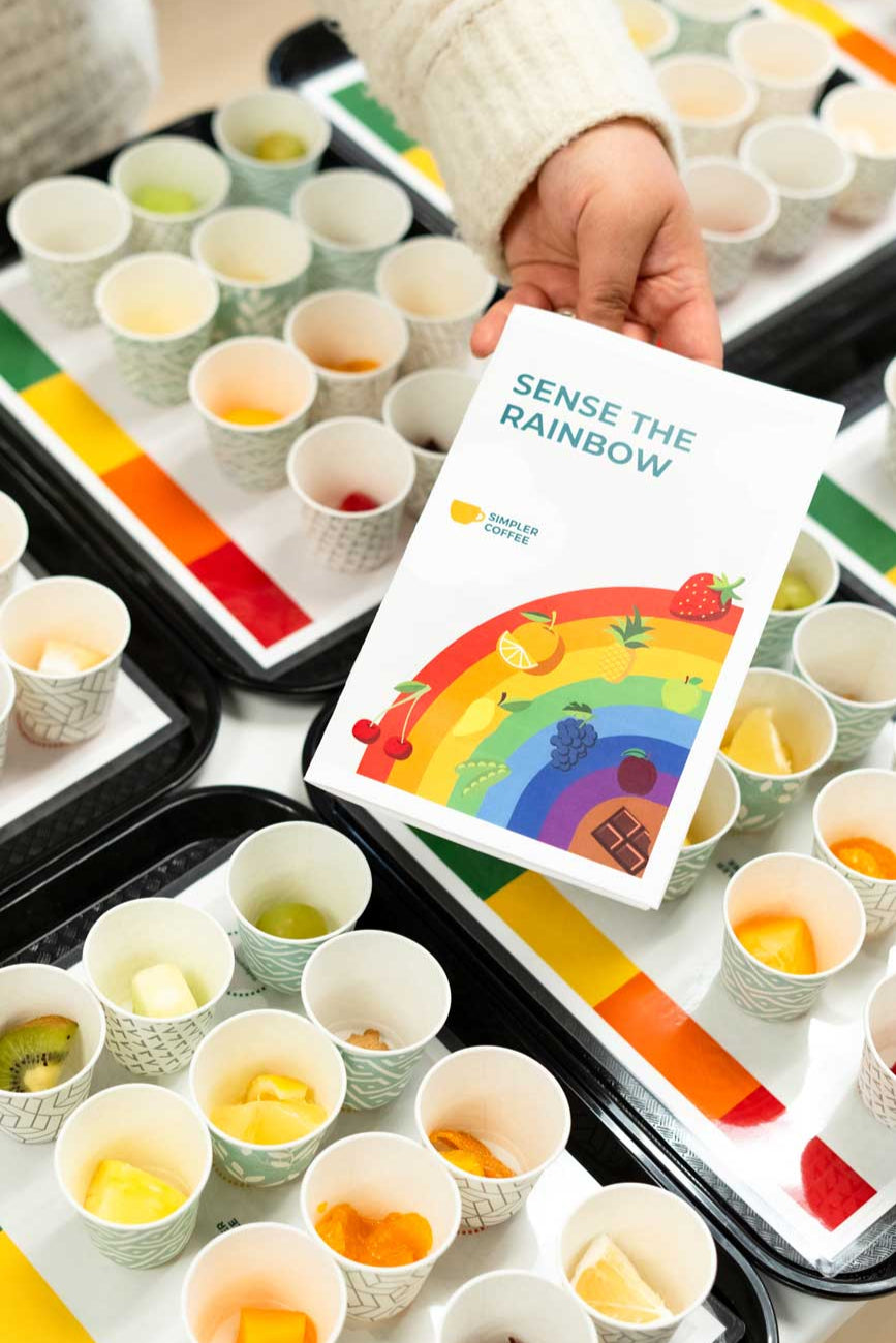 Workshop 3 - Sense the Rainbow: Palate Development