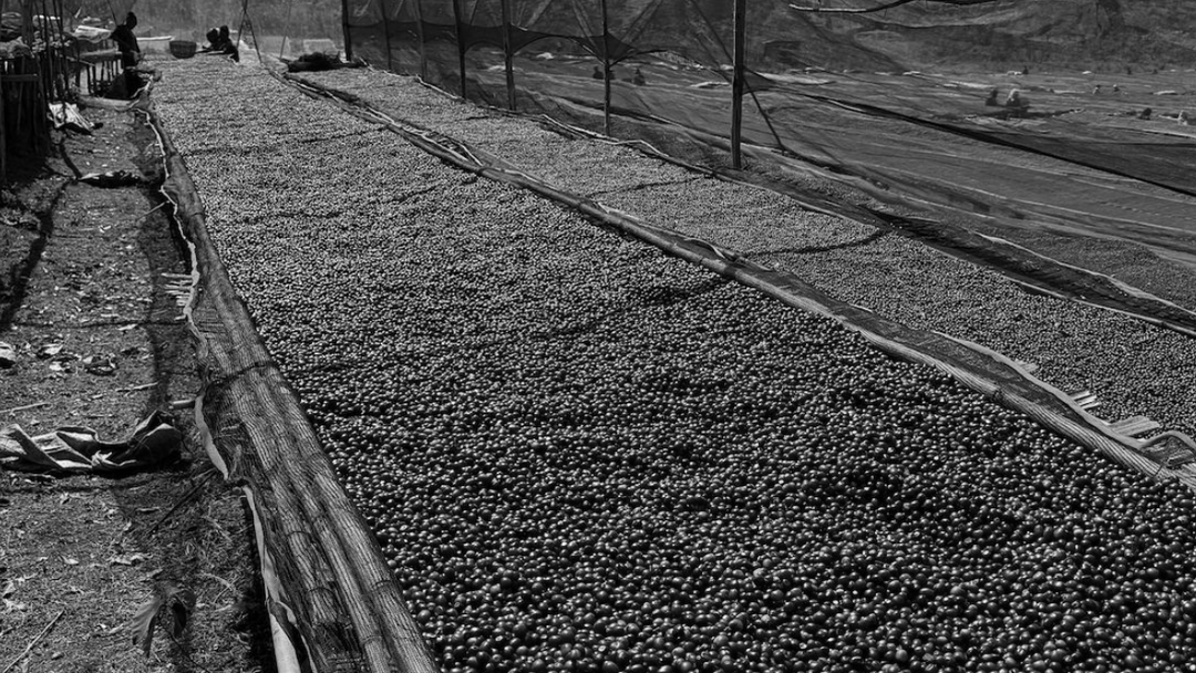 Ethiopia - Chelchele