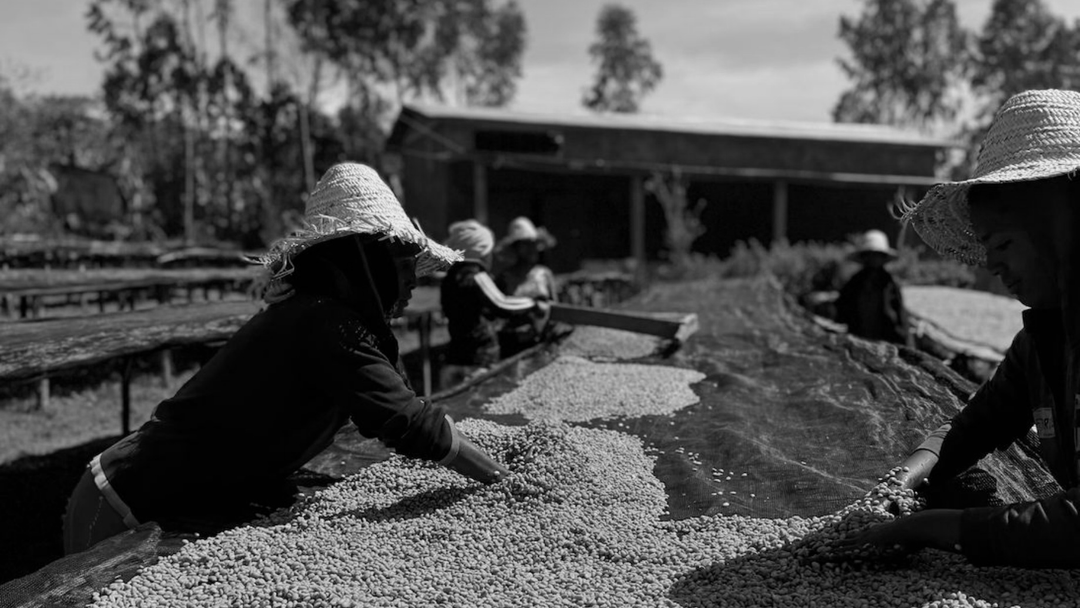 Ethiopia - Danche Chelbesa