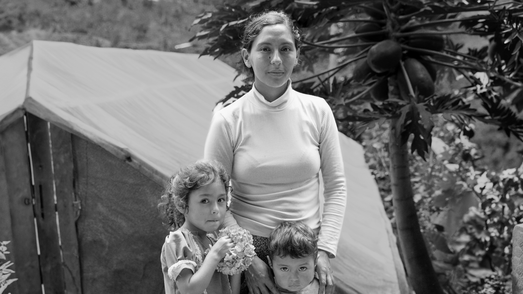 Peru - Fredesvinda Estela