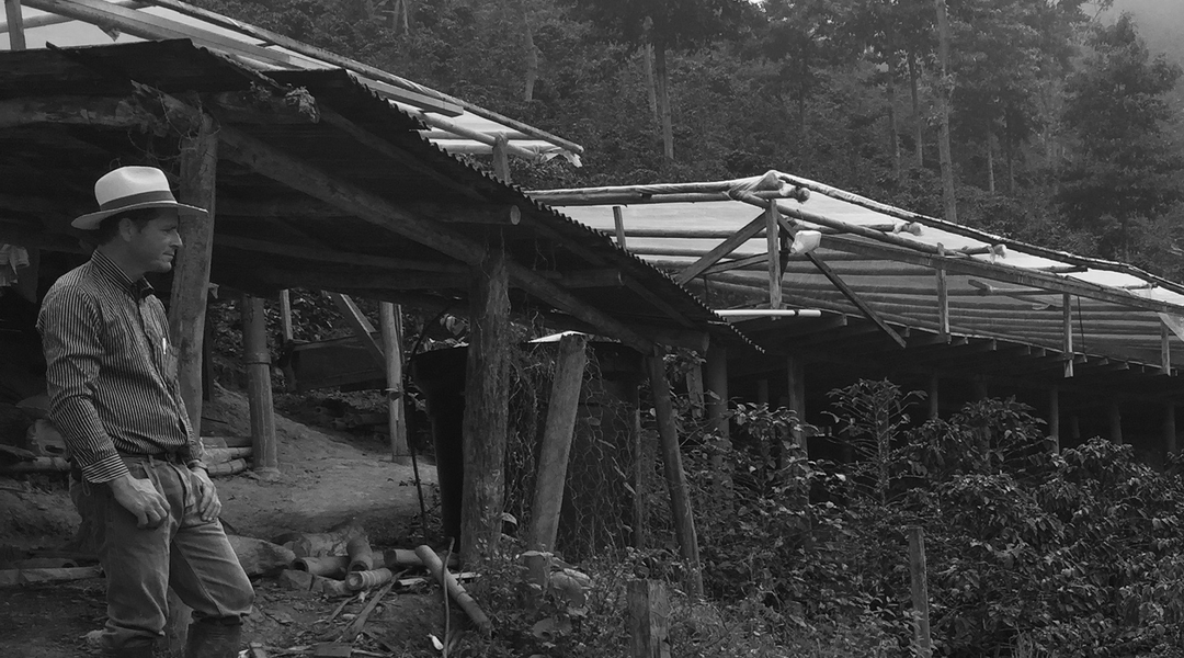 Gilberto Rojas - Finca La Florida