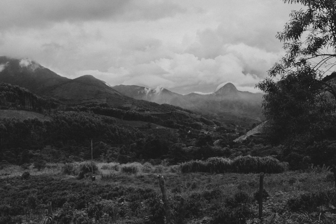 Francisco Bermond - Sítio Rancho Dantas