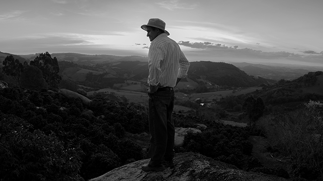 Brazil - Pirapitinga