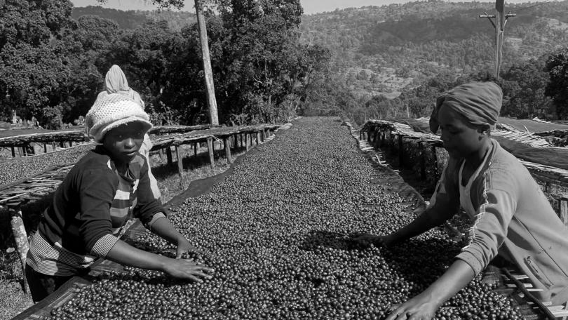 Ethiopia - Yabitu Koba