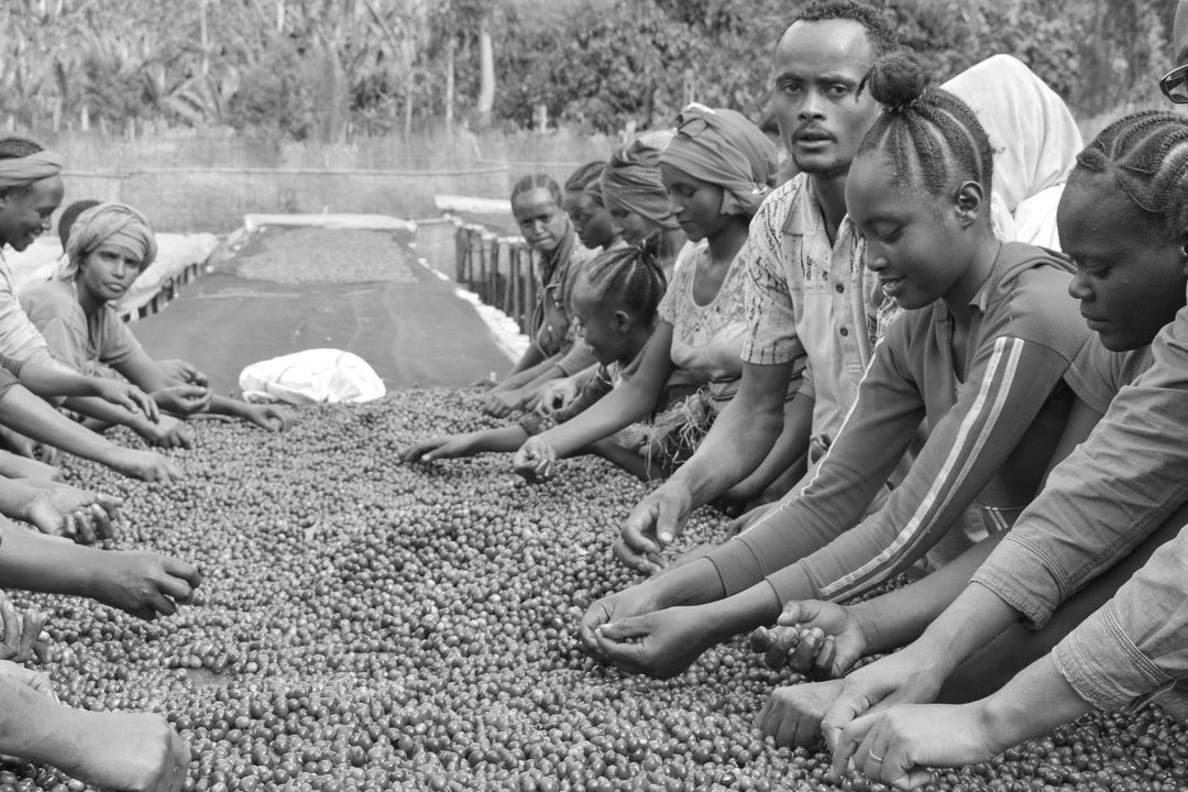 Ethiopia - Bombe Lot 25